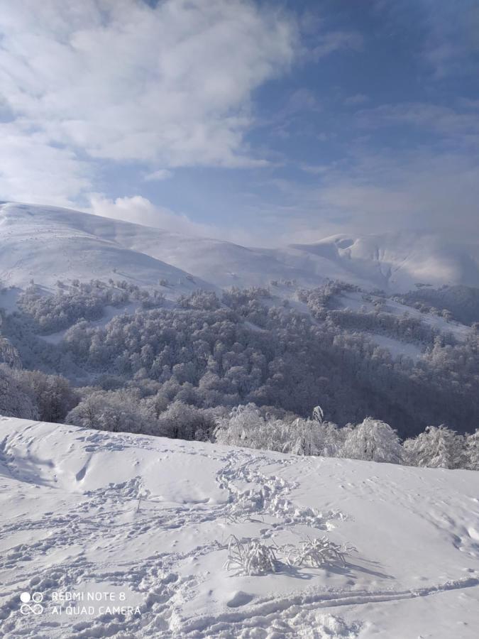 Sadyba Gostynniy Dvir Izky Exterior foto